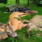 v noci a ráno samé kapitálne kusy!