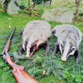 dva večeri dva kusy