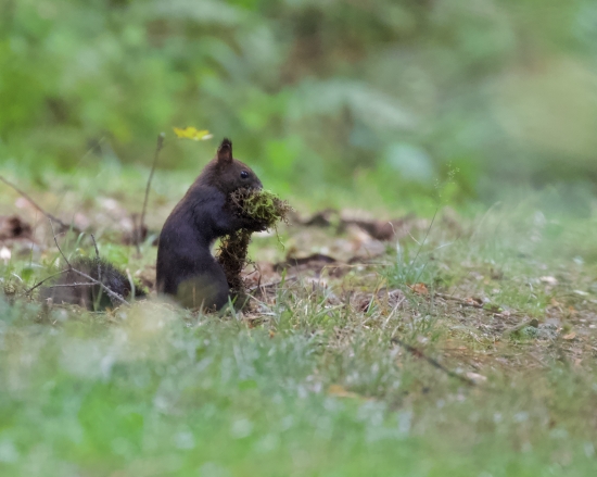 Špión s prípravami na zimu