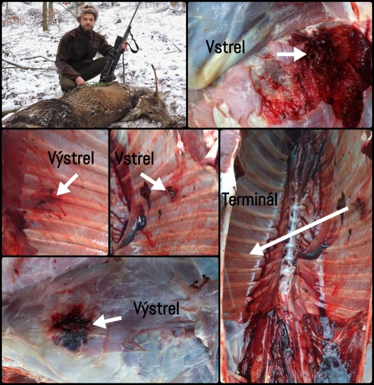 Lapua Mira 8,4 g - 270 W