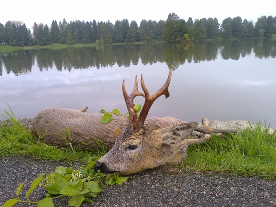 Diana bola štedrá...raritka ako bonus..!