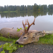 Diana bola štedrá...raritka ako bonus..!