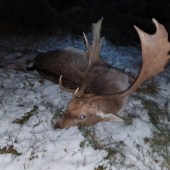 Mikulášský darček