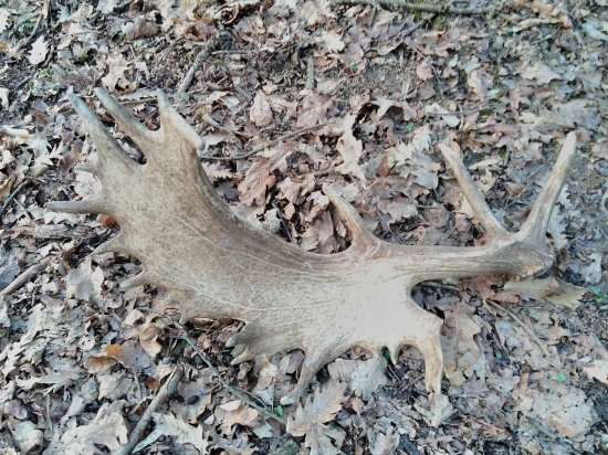 Spomienka na rok 2018