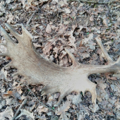 Spomienka na rok 2018