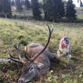 jedna z tých kratších