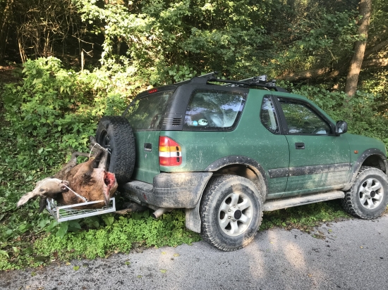 tak už je pokrstený