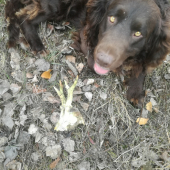 Na spolocnej:-)
