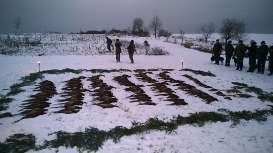 Pěkný hon