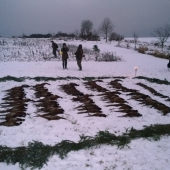 Pěkný hon