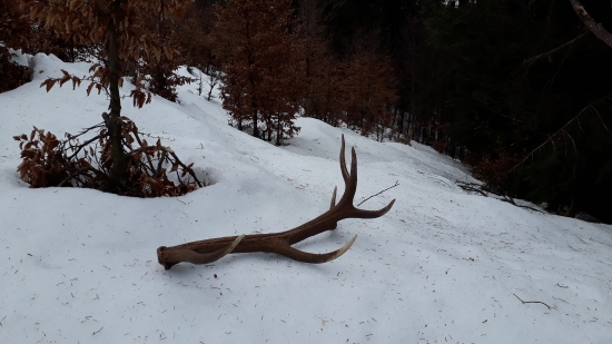 februárové šťastie