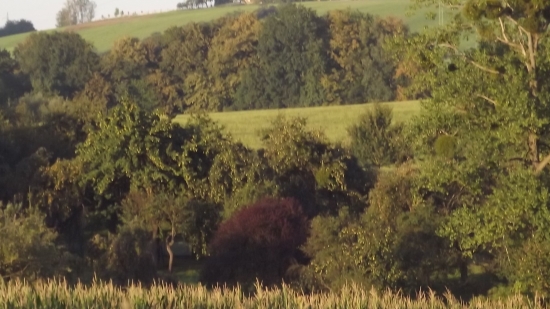 Podvečer na čekané