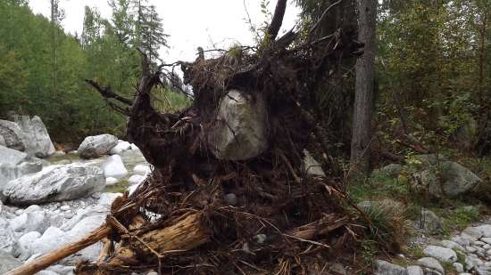 Obraz z vodní činnosti