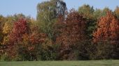 Barvy podzimní přírody u Stříbrného jezera