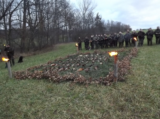 Výřad honu na bažanty