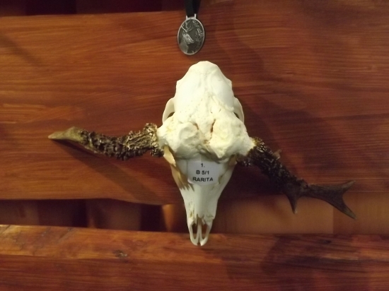 Raritní srnec-okres Nový Jičín