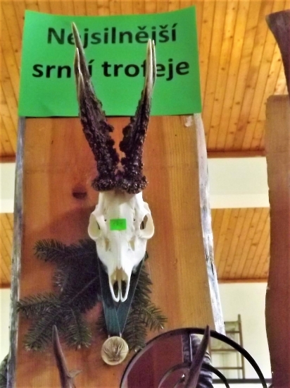Nejsilnější srnec okres Vsetín