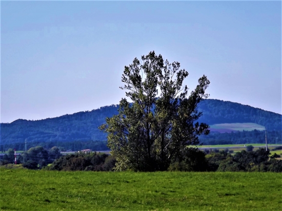 Strážce krajiny
