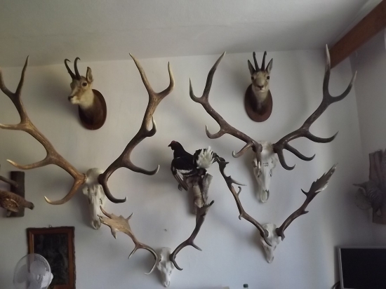 Vzpomínky na lovecké zážitky.