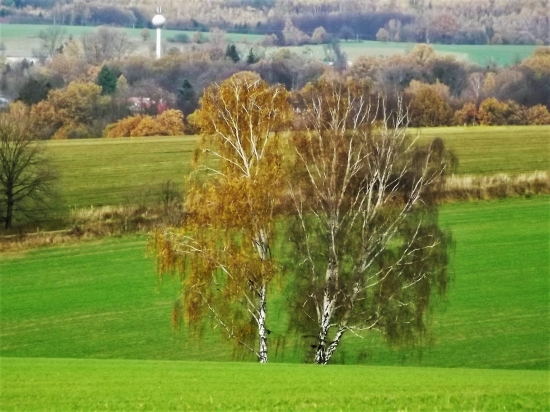 Oživení v přírodě.