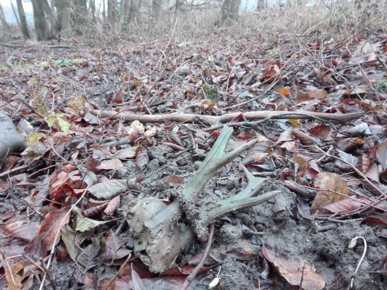 Ten tam bol už dlhšie