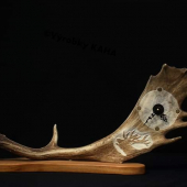 Hodiny v danielom  parohu