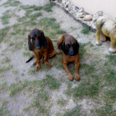 matka a syn / Flóra a Adis