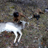 Ku koncu roku sa zadarilo