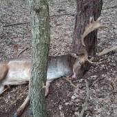 Po 2 km dohľadávke