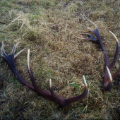 Pára zhodov 5,50 kg, Nepravidelný 16,Lavý 95, Pravý 100