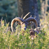To bude za pár rokov fešák