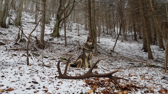 Krásne utorkové ráno