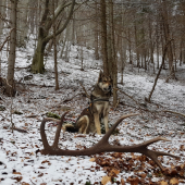 Krásne utorkové ráno
