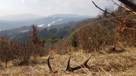 Deň v prírode je na nezaplatenie