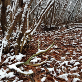 Tak predsa.. 50/2019