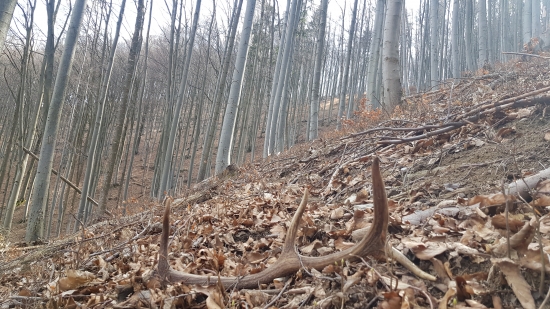 Najlepšia karanténa