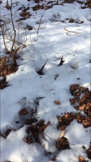 Nedělní-loňský čtrnácterak..