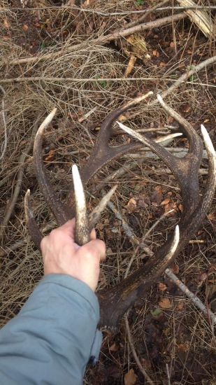 Para čtrnácteráka