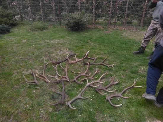 Velice vydarenej patek