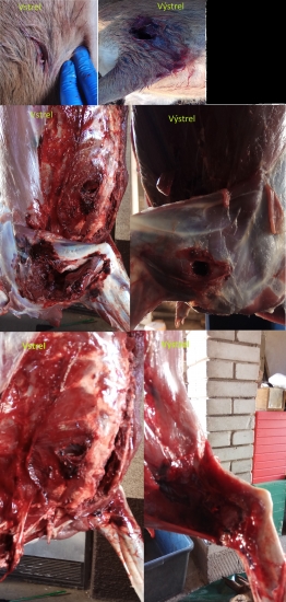 PPU 9.3x62 SP 285grs