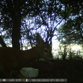 napojil sa a odišiel