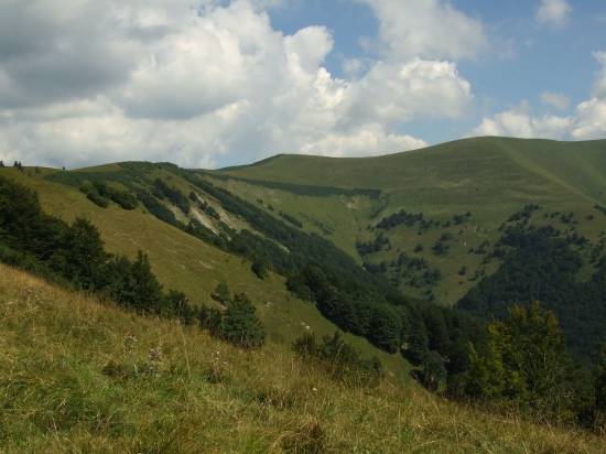 Malá Krížna