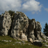 Pri salaši pod Suchým