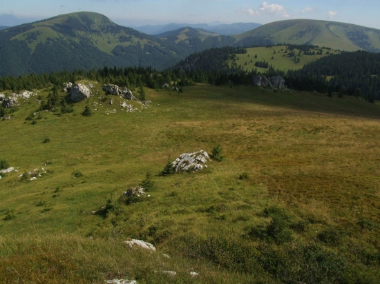 Borišov a Ploská