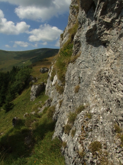 Pustolovičie