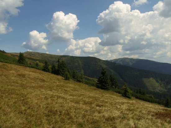 Ďurková