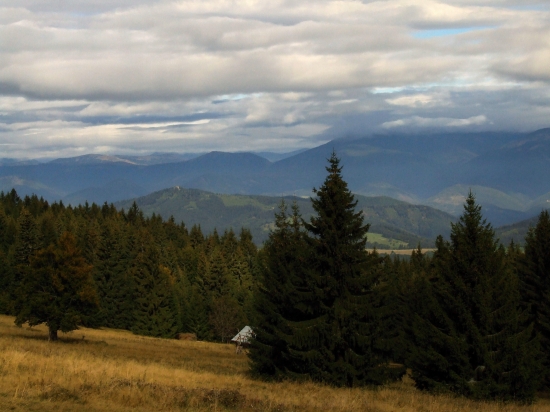 Ľubietovská bukovina
