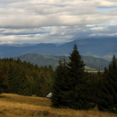 Ľubietovská bukovina