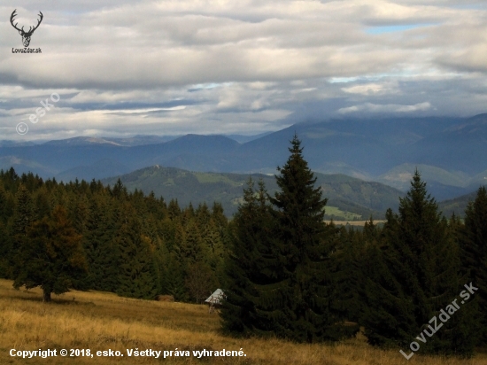 Ľubietovská bukovina