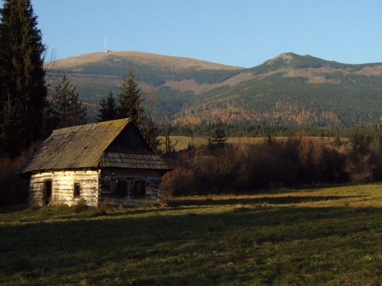 Kráľova hoľa